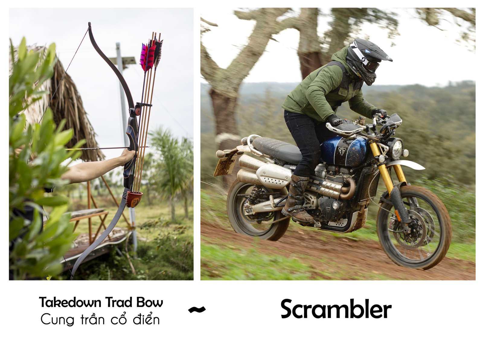 American-Trad-bow-is-similar-to-scrambler